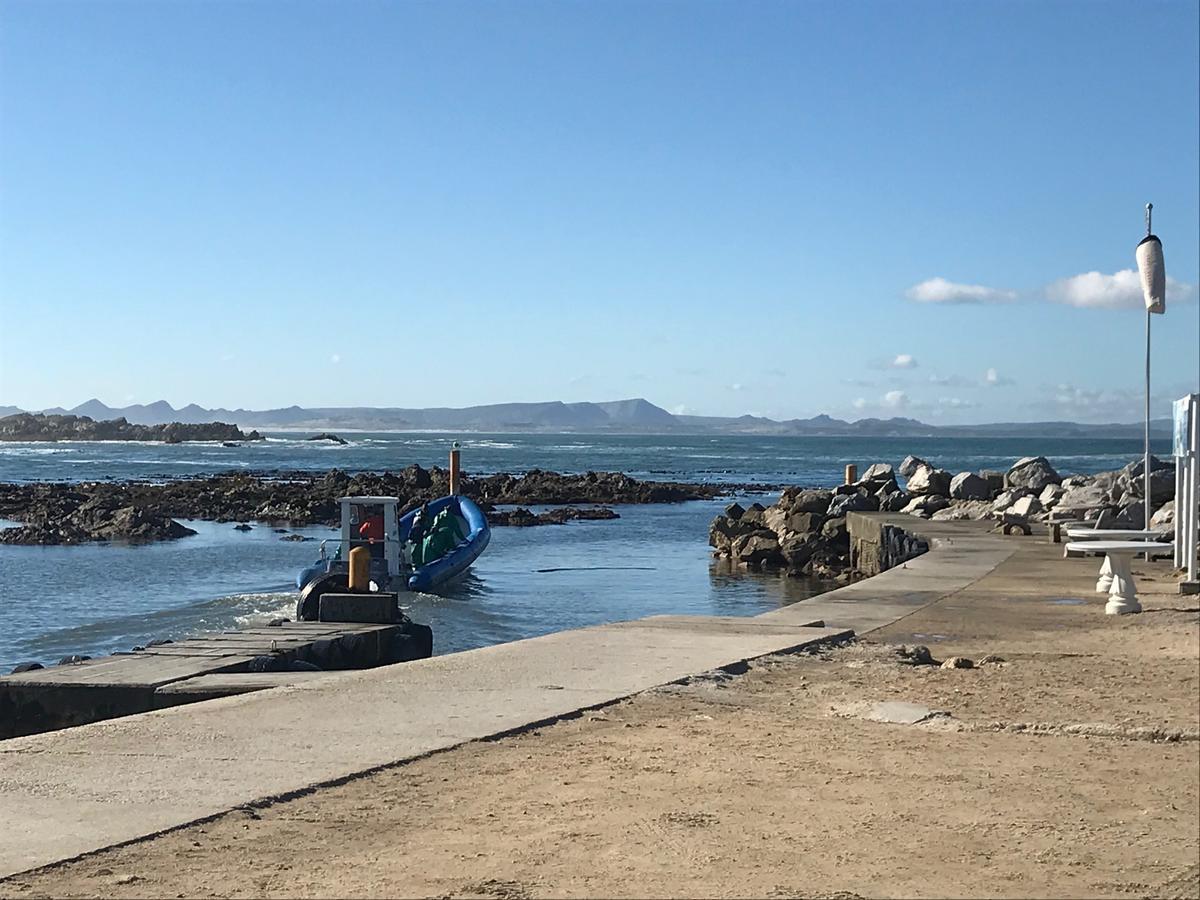 Fairview Accommodation Gansbaai Exterior foto