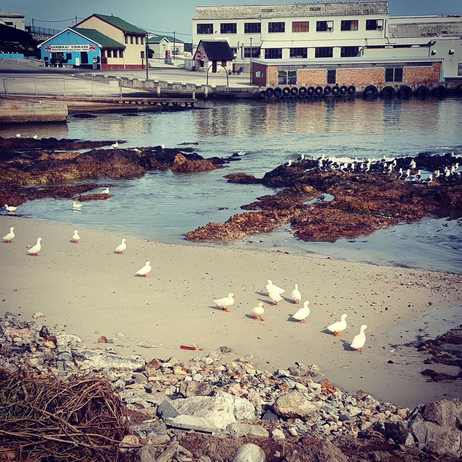 Fairview Accommodation Gansbaai Exterior foto